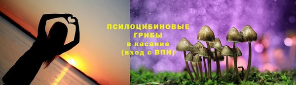 марки nbome Алексеевка