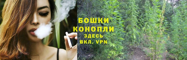 бошки Алзамай